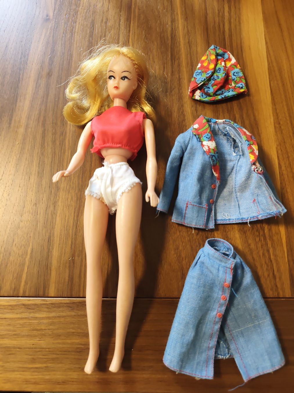 Giocattoli: Barbie Petra – Usato da Aesch BL venduto da Refurber