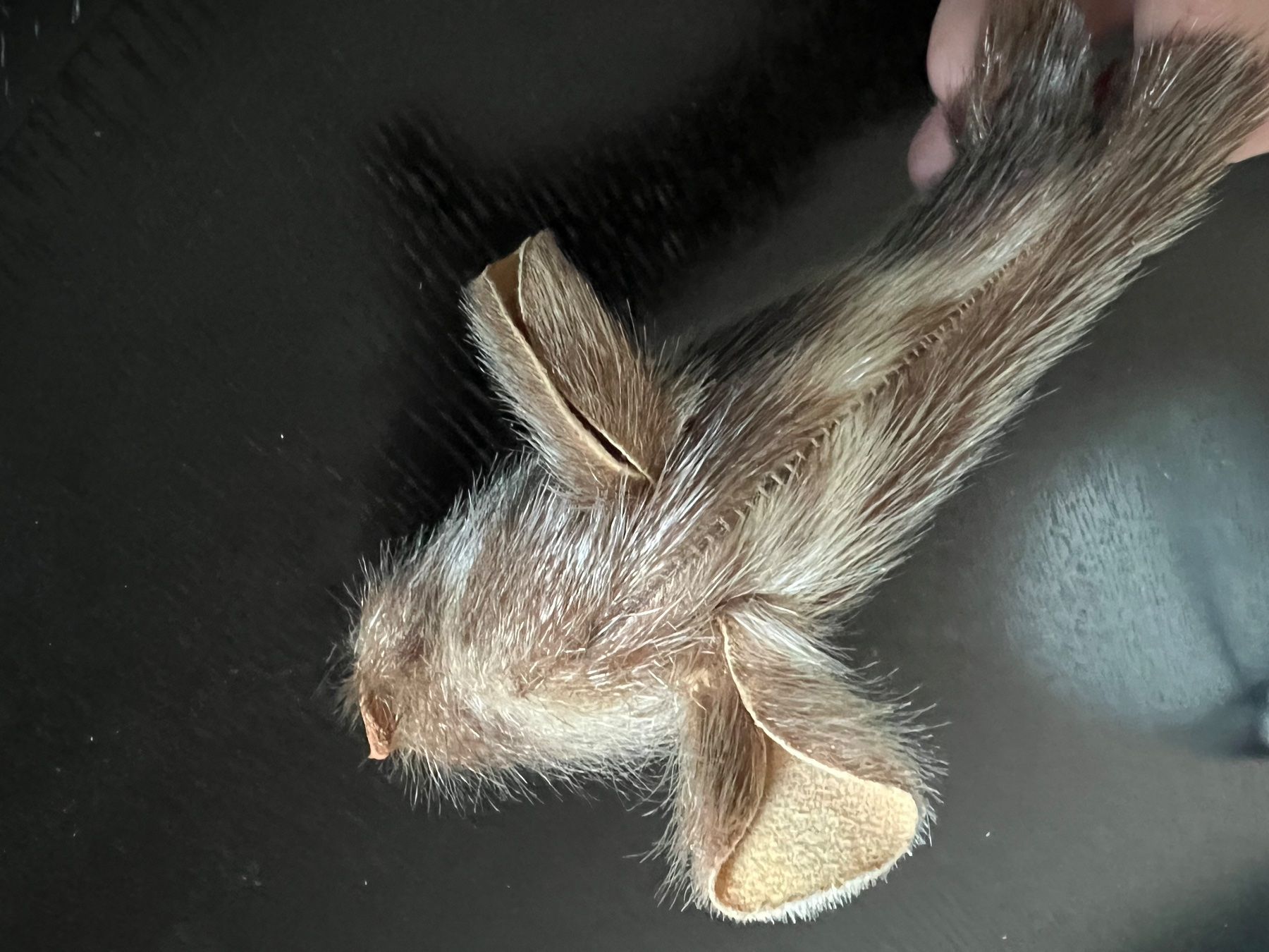 Figuren: Robbe Seehund  Fell – Gebraucht aus Jona von Sariksa 3