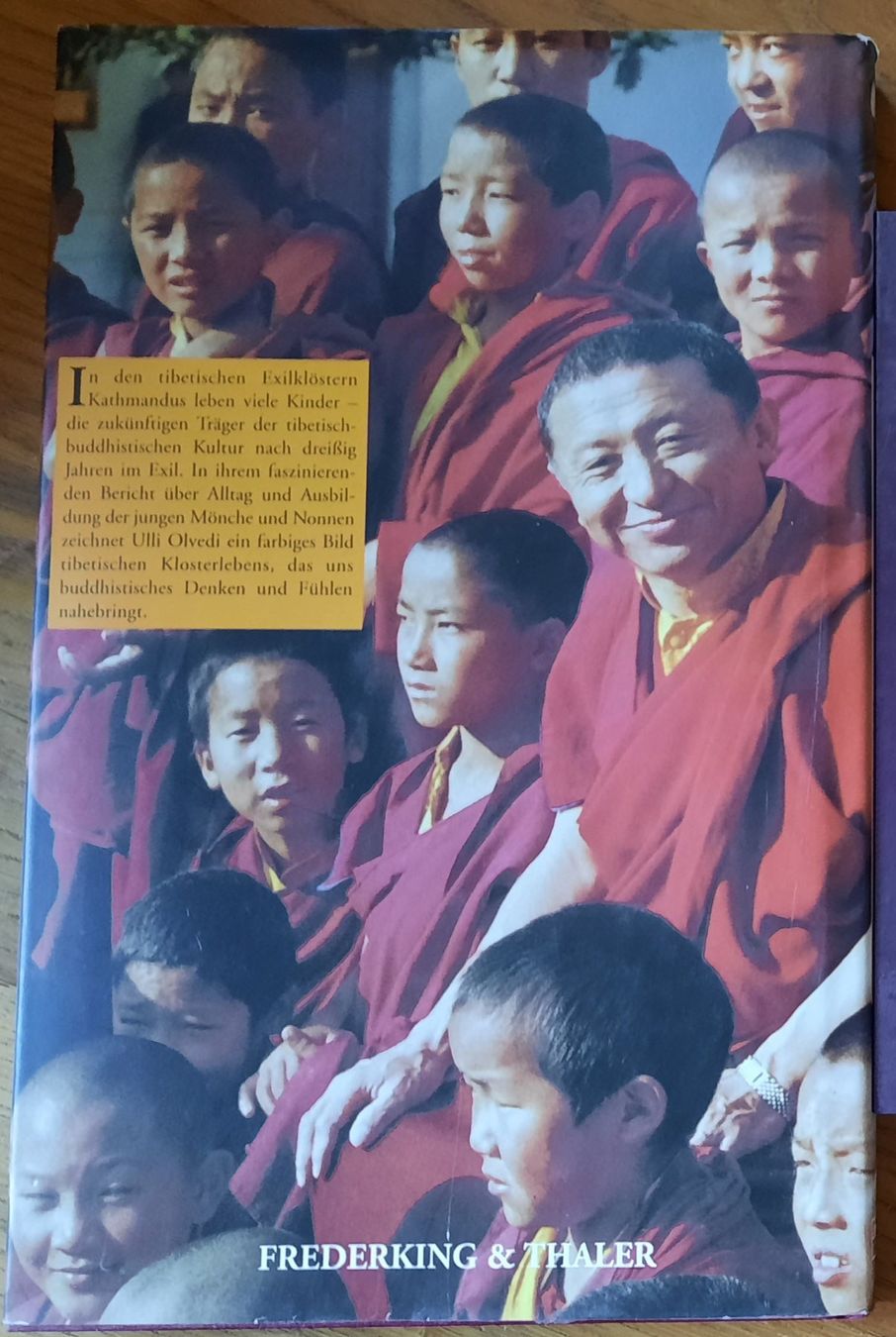 Libri: Buddhas Kinder – Usato da Iffwil venduto da Lisa_Soleil 1