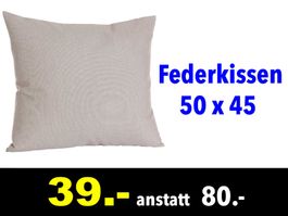 🔴  Federkissen GARPA 50 x 45 Stone /809Z