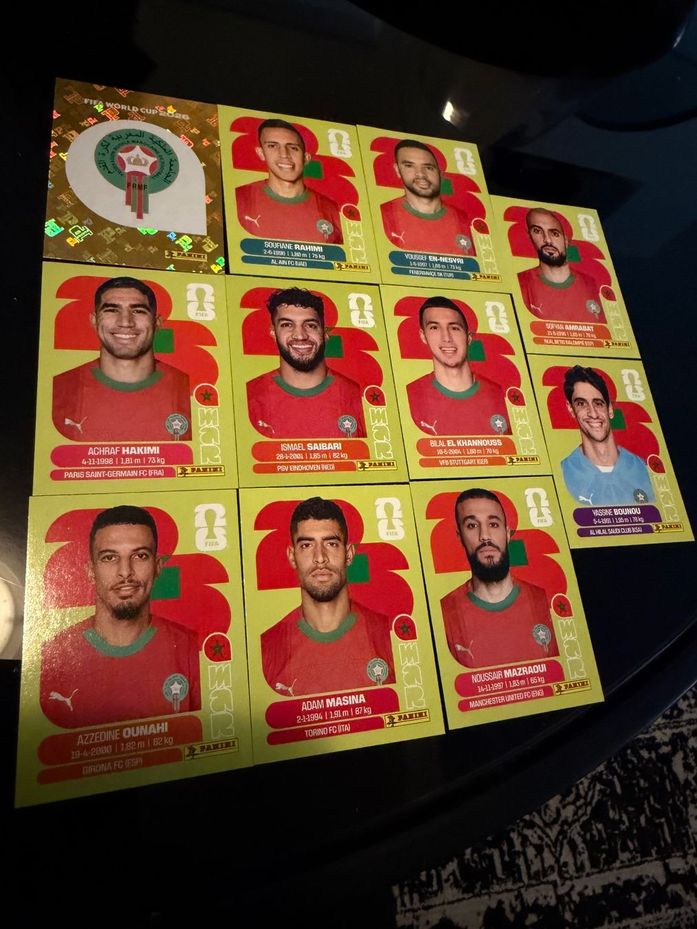 Panini Carte collezionabili: Panini World Cup 26 MAR 11 Stk – Usato da Wettingen venduto da NickInc