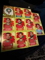 Panini World Cup 26 MAR 11 Stk