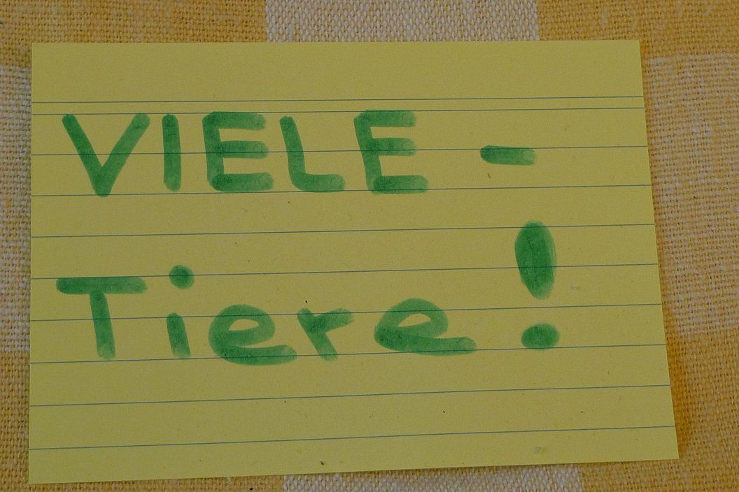 Giocattoli: VIELE-Tiere! – Usato da Bern venduto da bn1640 9