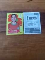Panini MAR 4