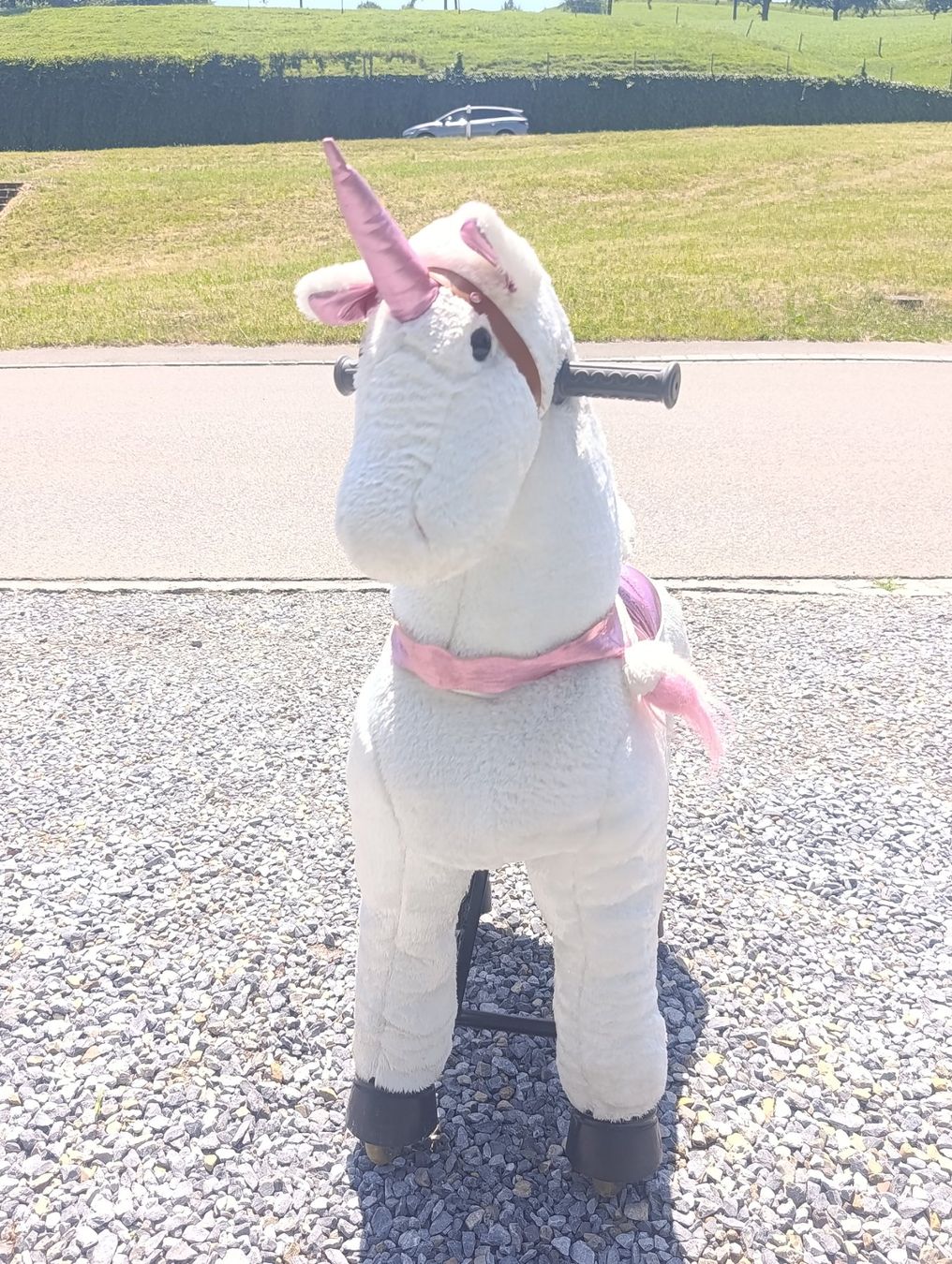 Spielzeuge: Einhorn – Gebraucht aus Unterrindal von 75Katrin 3