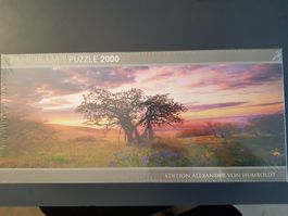 Puzzle von Heye Panorama 2000 Teile NEU