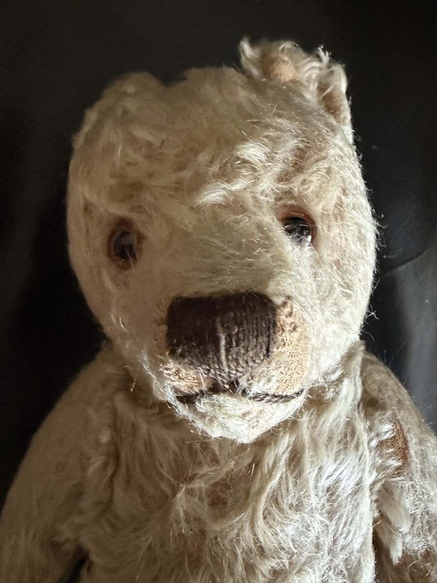 Steiff Spielzeuge: Älterer Steiff Teddy – Gebraucht aus Hochfelden von larson27 2