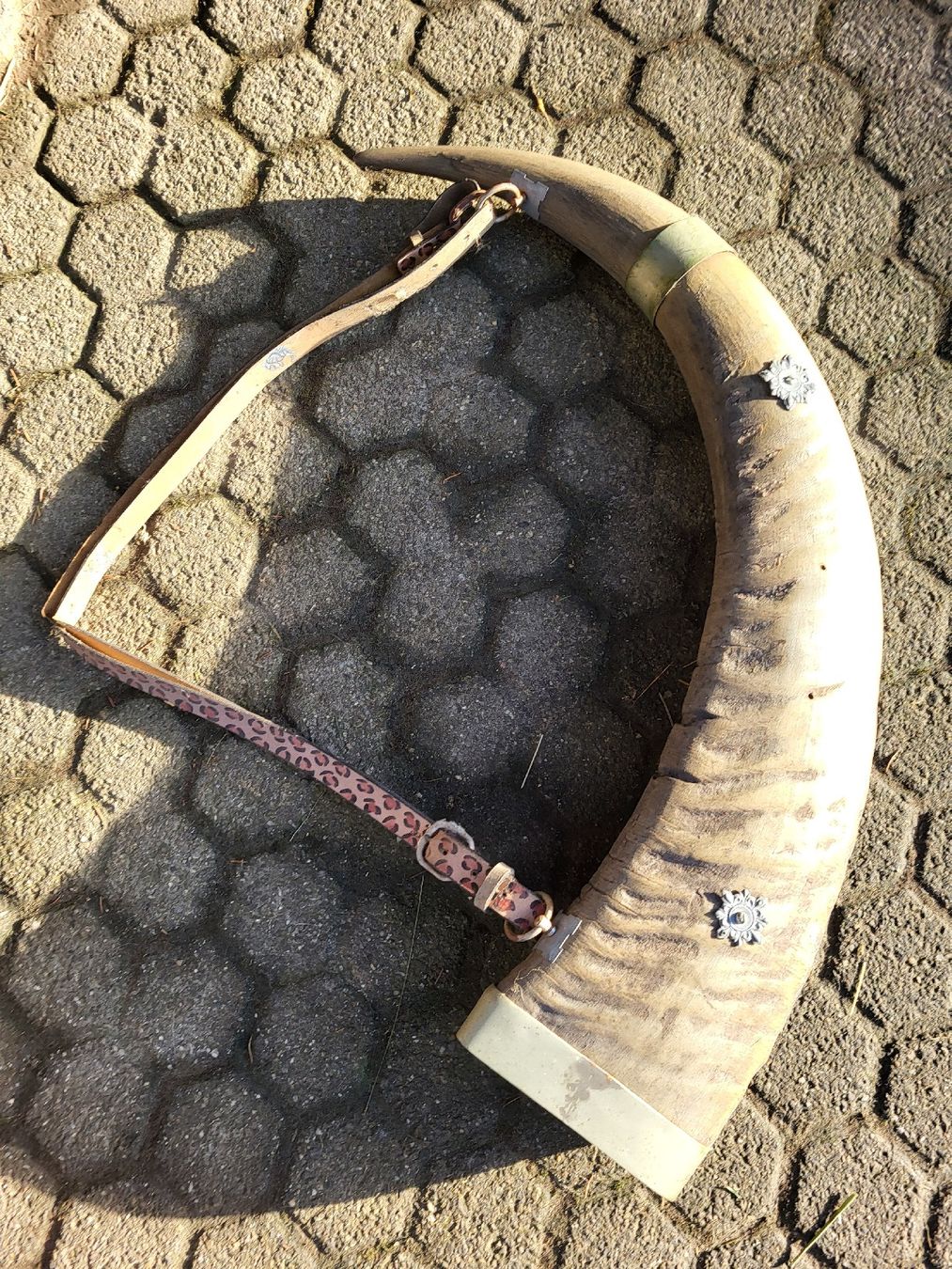 Tutte le decorazioni: Trinkhorn: Büffel oder Rind – Usato da Schönenberg ZH venduto da Samichlaus71 1
