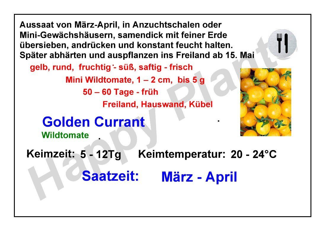 Piante & sementi: Golden Currant - Wildtomate - 50 Samen – Nuovo e nell'imballaggio originale da Sumiswald venduto da Cham14559 1