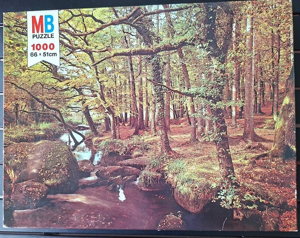 Puzzles: Puzzle Motiv "FLUSSLANDSCHAFT" – Gebraucht aus Kriens von kusi56
