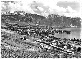 AK Vevey VD, gelaufen 1964