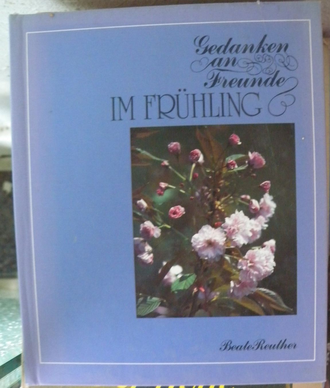 Libri: gedanken an freunde – Usato da Hauenstein venduto da Danbach