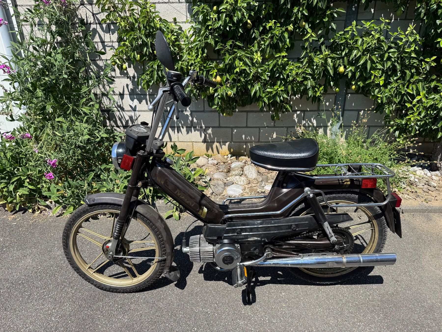 Puch Ciclomotori: Puch Maxi S Condor – Usato da Wiler b.Utzenstorf venduto da YaWi98 1