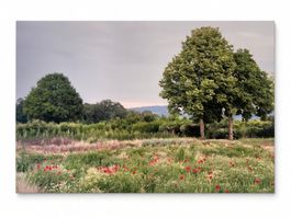 Leinwand Originalfoto Landschaft Oberwil BL 120x80x4 cm