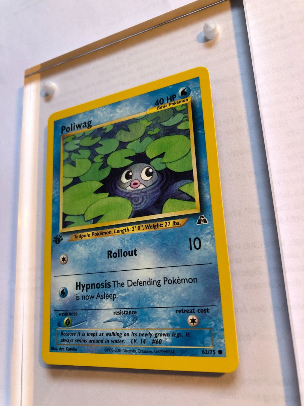 Carte collezionabili: Poliwag 1st Neo Discovery - MINT - ab 1.- – Usato da Giubiasco venduto da dan_pr8b 2