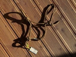 Neues Knotenhalfter Pony