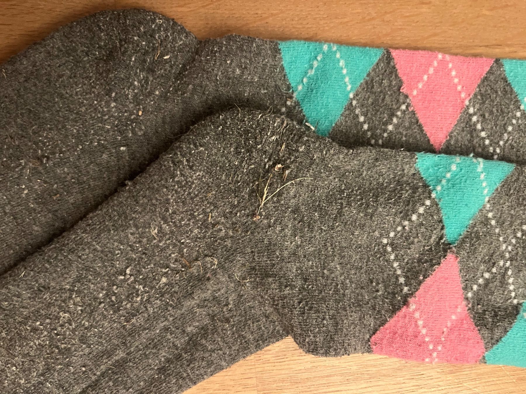 Felix Bühler Calze: Reitsocken – Usato da Laupen BE venduto da lee_ym6v 1