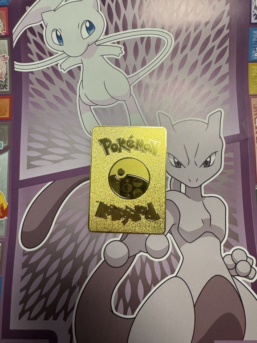 Pokémon Carte collezionabili: Pokémon Karte aus Metall – Nuovo (secondo la descrizione) da Emmenbrücke venduto da paj_q8wx 1