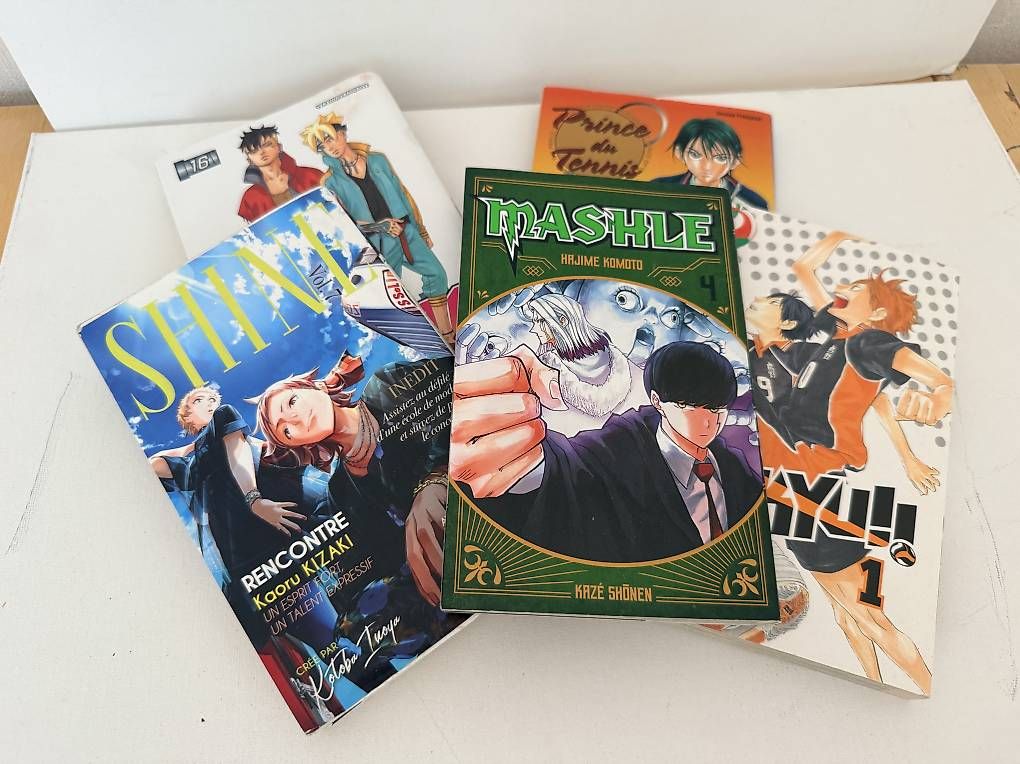 Comics: Manga – Gebraucht aus Lausanne von fynou