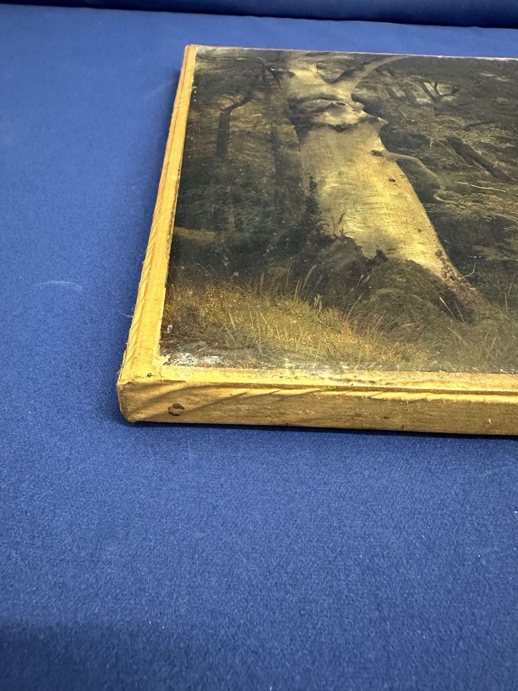 Dipinti: Alexandre Calame – Usato da Liestal venduto da FuV01 6
