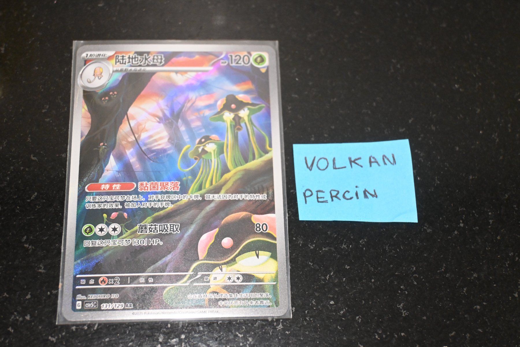 Pokémon Carte collezionabili: Terracruel (CSV5C 131) Chinese – Nuovo (secondo la descrizione) da Aigle venduto da PSAPOKEVOVO