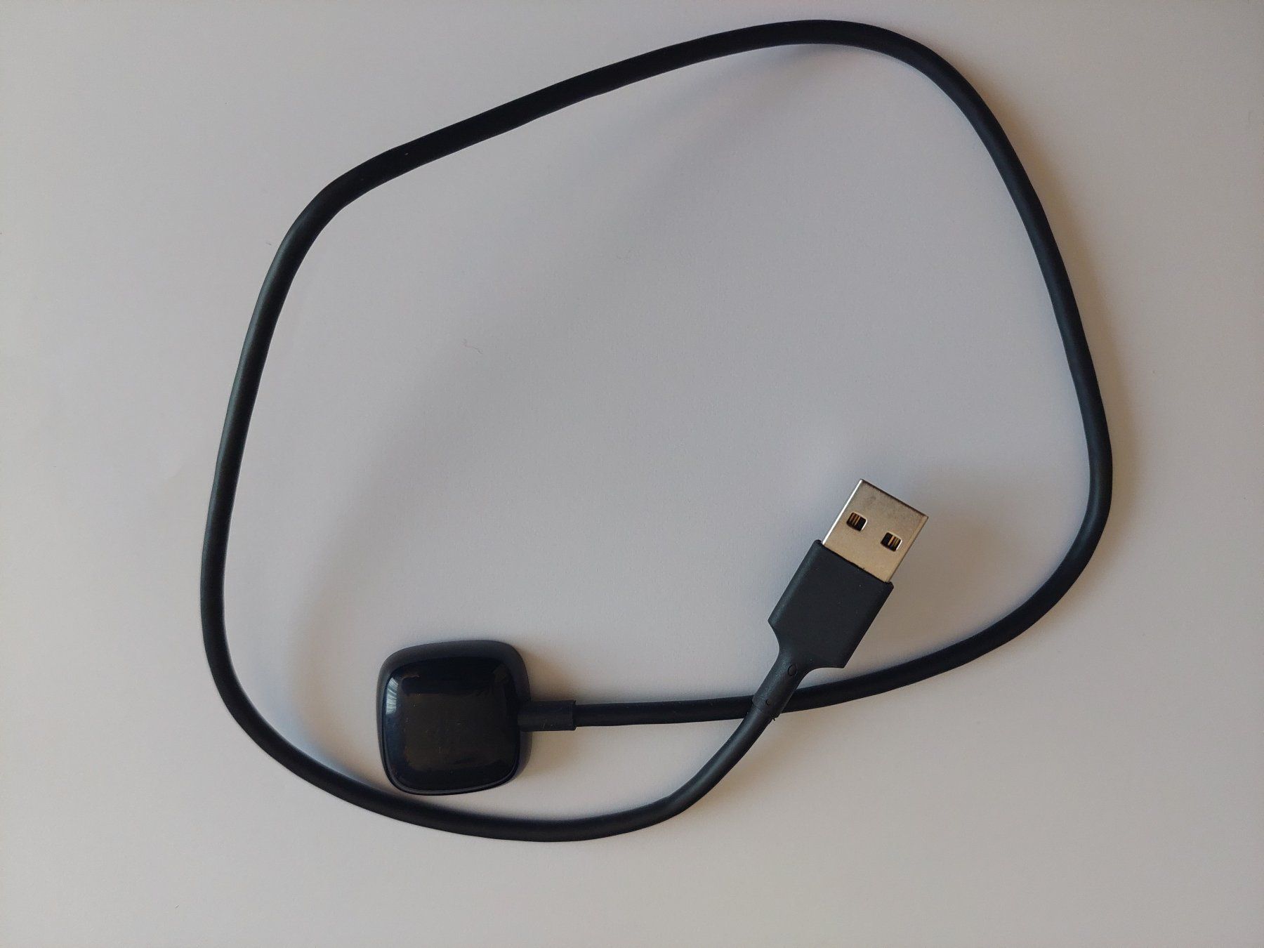 Fitbit Cavi: Câble de chargement Fitbit Sense et Versa – Nuovo (secondo la descrizione) da St-Prex venduto da EricM
