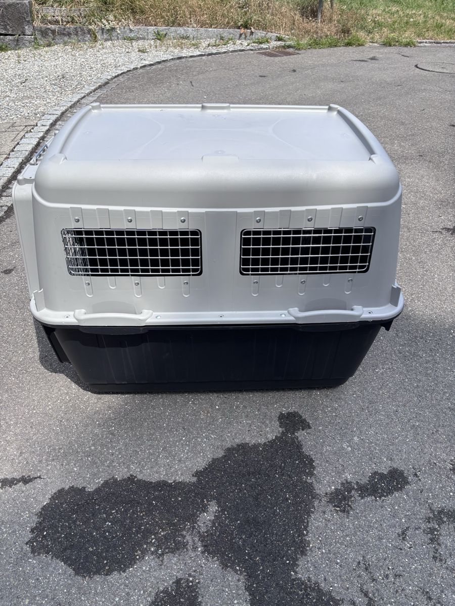 Cages, transport & sécurité: Hundebox für Auto – D'occasion à Felben-Wellhausen par pasigo 2