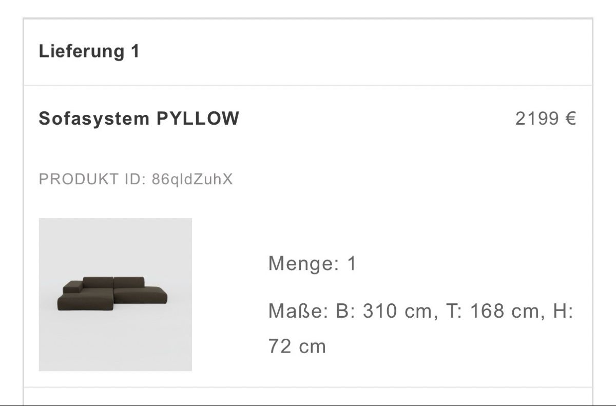 MYCS Divani: MYCS PYLLOW Sofa  – Usato da Eschlikon TG venduto da alissiamm00 4