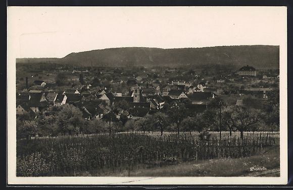 Cartoline postali: AK Pratteln, Teilansicht mit Bäumen – Usato da Berlin venduto da bartko-reher