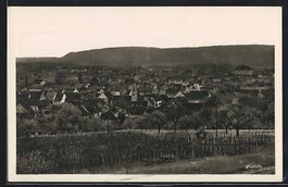 AK Pratteln, Teilansicht mit Bäumen