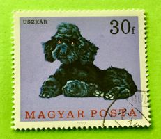 Briefmarken aus Ungarn gestempelt   Siehe Original Fotos 