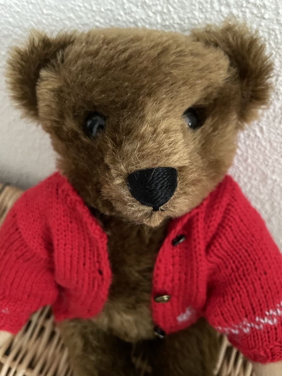 Steiff Giocattoli: Steiff Teddy Bär  – Usato da Emmenbrücke venduto da miz_9kht 1