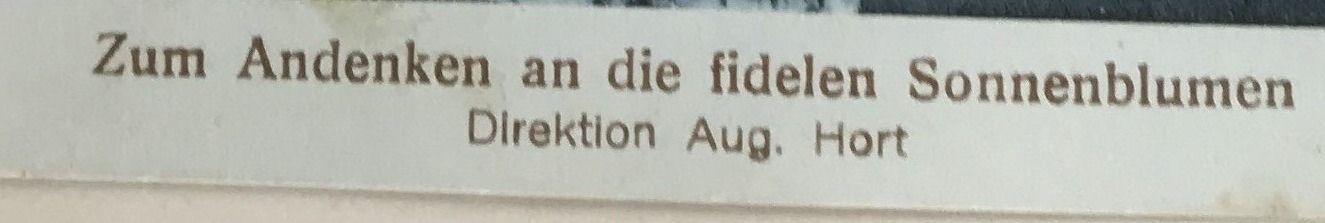 Cartoline postali: ANTIKE ANSICHTSKARTE – Usato da Ostermundigen venduto da wini63 2