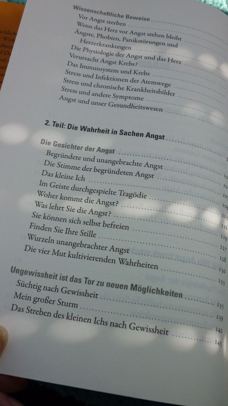 Bücher: Mut zur Angst, Lissa Rankin – Neu (gemäss Beschreibung) aus Niedergösgen von Happy-7 4