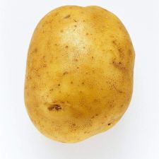 Profile image of kartoffelnsindlecker