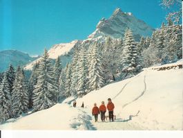 Braunwald 1983