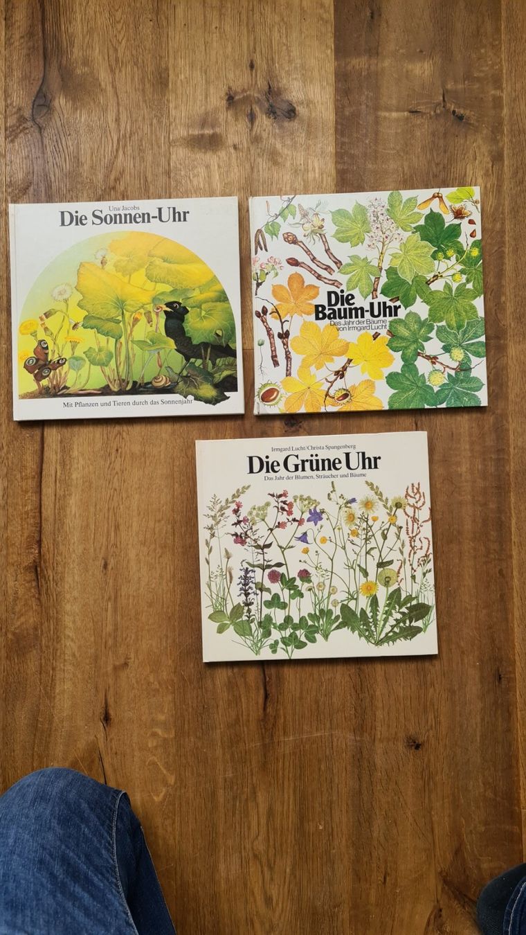 Libri: Die uhr bücher set – Usato da Wittenbach venduto da Tigerlili