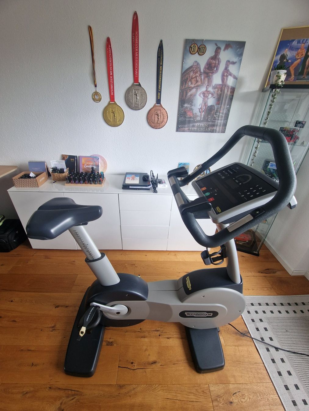 Technogym Hometrainer: Techno Gym Ergobike TOP Zustand – Gebraucht aus Heerbrugg von Haris_O 1
