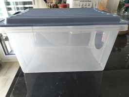 Wetbox mit Deckel transparent, Wet Box Reptilien