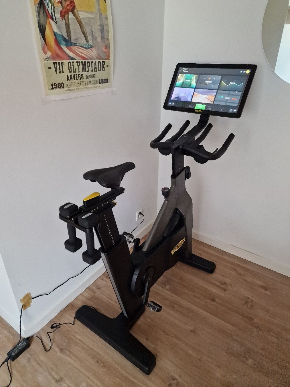 Technogym Hometrainer: Technogym Professional Hometrainer – Nuovo (secondo la descrizione) da Genève venduto da thi_lqp9 1
