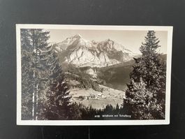 AK SG Wildhaus mit Schafberg (Toggenburg)