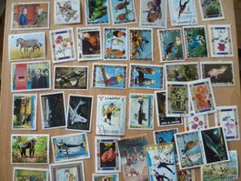 Briefmarken-Sammlung aus aller Welt, Top Zustand!