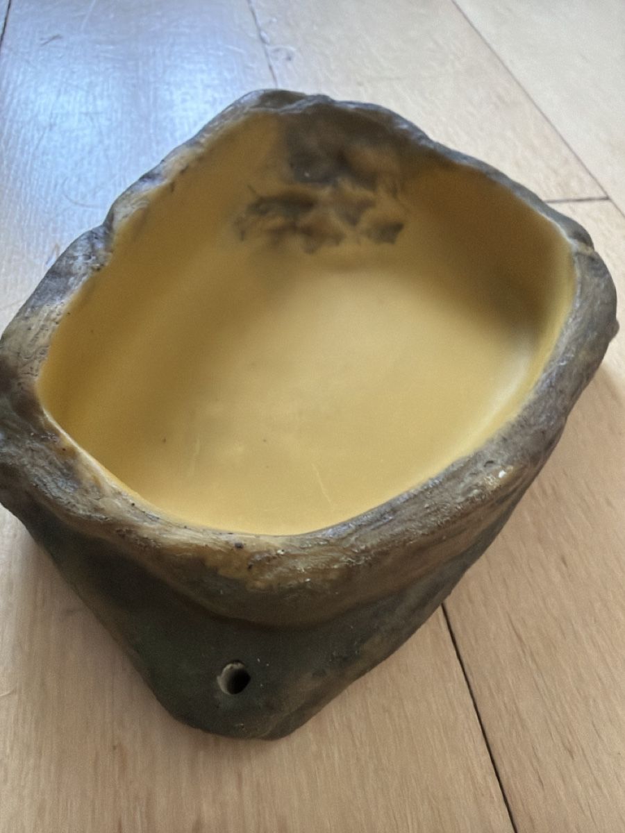 Mangimi: Wassernapf Reptil Steinoptik  – Nuovo e nell'imballaggio originale da Oberentfelden venduto da Elifant 1