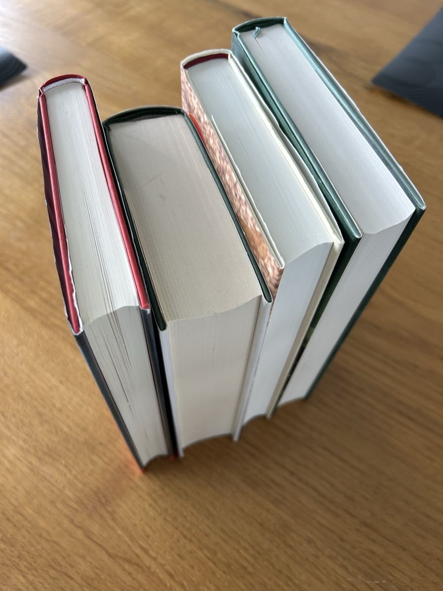 Libri: Silvio Blatter - 4 Romane im Set - Top Zustand! – Usato da Wohlen AG venduto da Rstoeckli6 2
