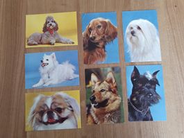 7 Hunde Sammelkarten Getreideflocken AG, Lenzburg, vintage
