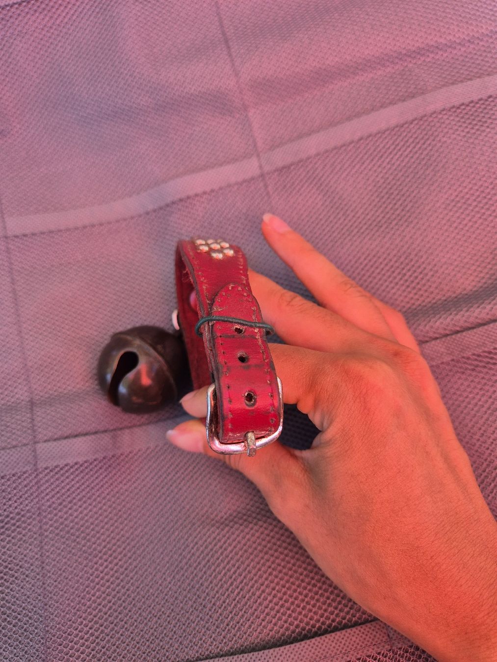 Campanacci mucche: petit collier avec cloche – Usato da Genthod venduto da Lenas9 3