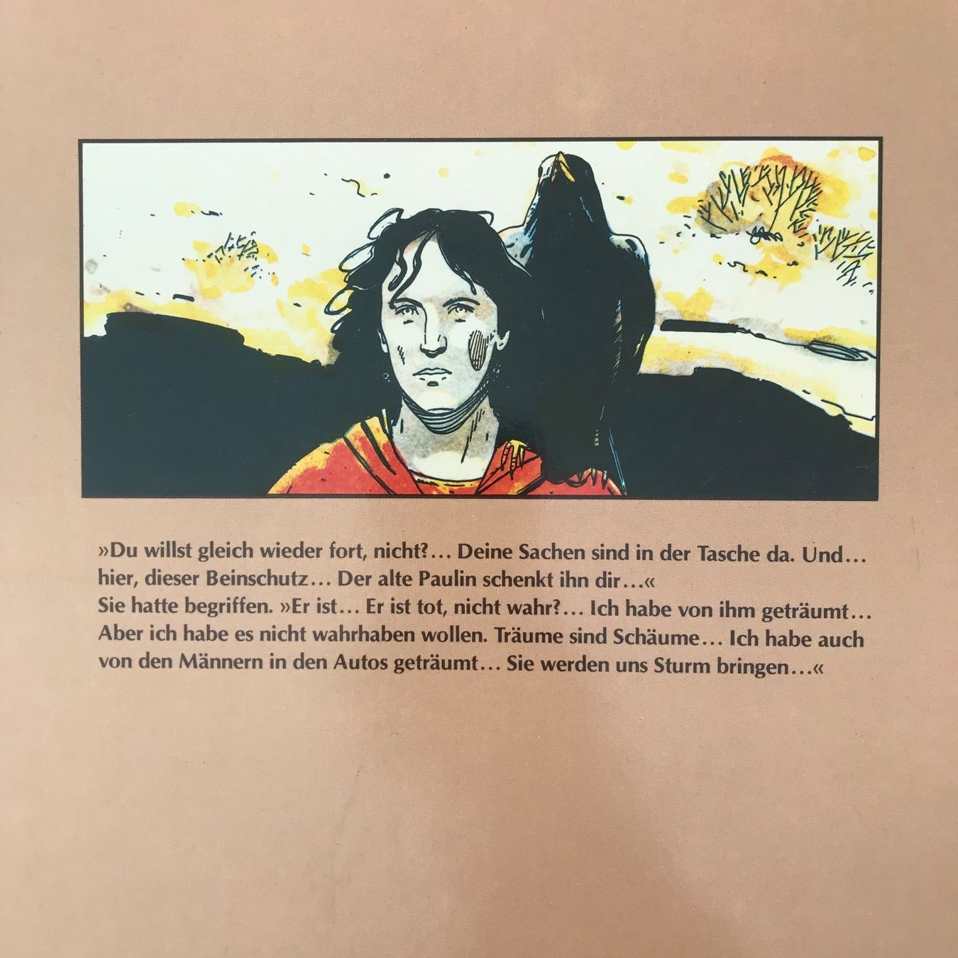 Fumetti: VERBRANNTE ERDE - WER WIND SÄT ... – Nuovo (secondo la descrizione) da Pfungen venduto da Druller 1