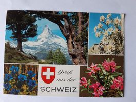 Ansichtskarte Matterhorn Gruss a. d. Schweiz, nach Hollywood