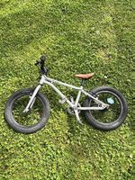 Early rider 16