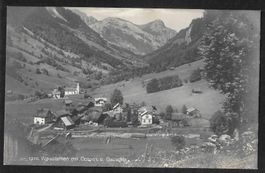 Weisstannen mit Gonzen und Gauschla